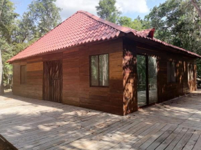 Nagual Yoga Jungle Retreat @Route De Cenote